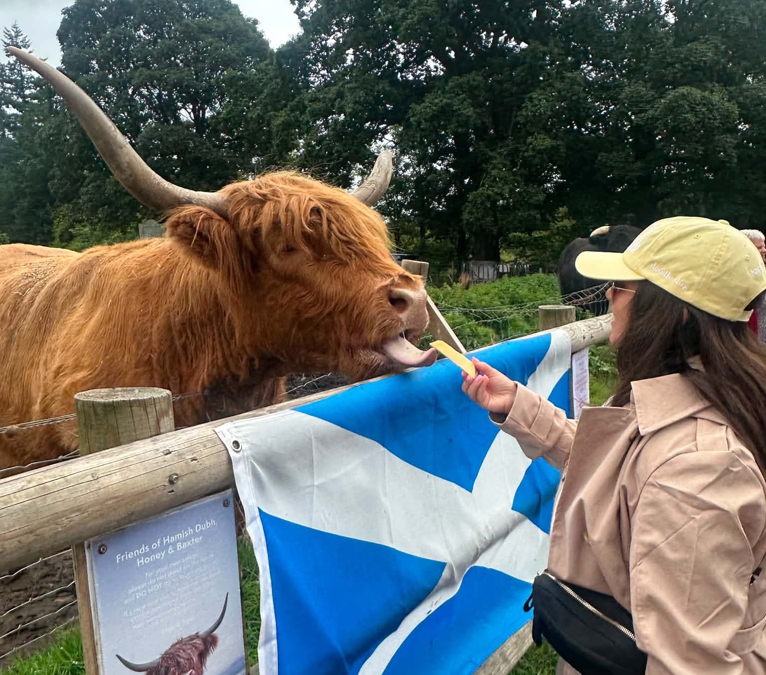 Coos feeding